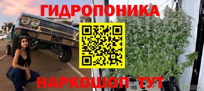 гашик Волжский
