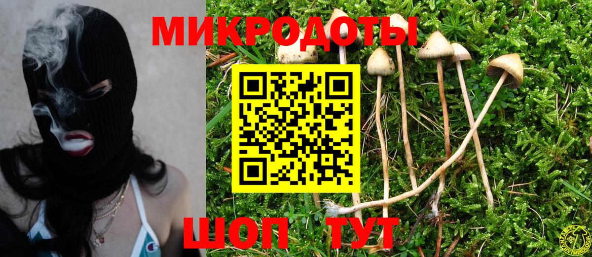 Псилоцибиновые грибы Psilocybine cubensis  Вход с VPN  Гусев 